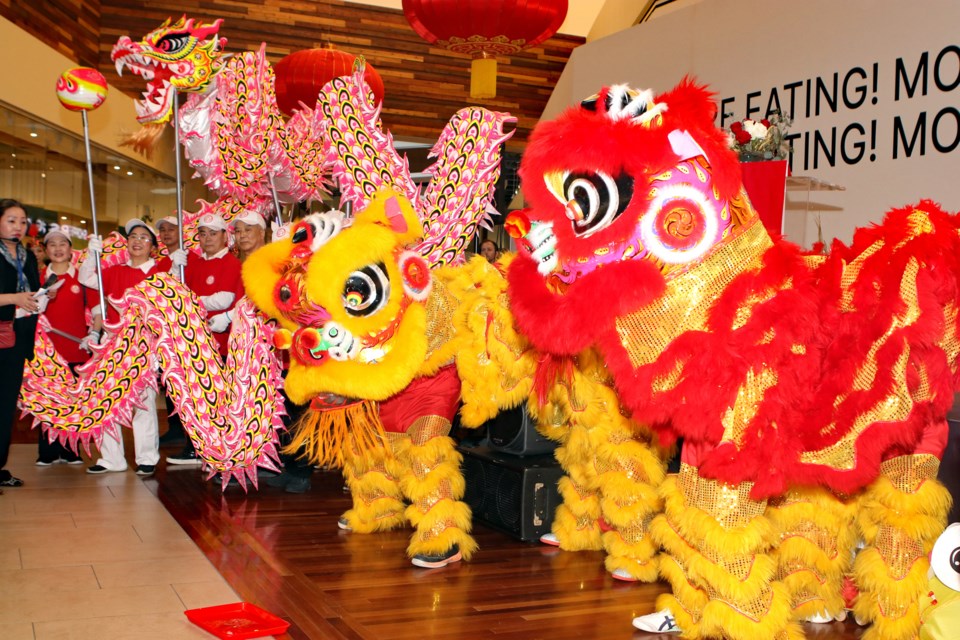 The Canadian Alliance of Chinese Associations hosted a Miaohui (Temple Fair) for Chinese New Year at Tsawwassen Mills on Saturday afternoon. The event featured lively dragon and lion dances, lanterns and gourmet Chinese foods.