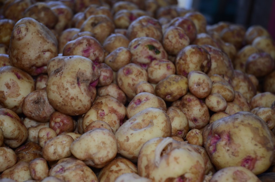 Warba potatoes