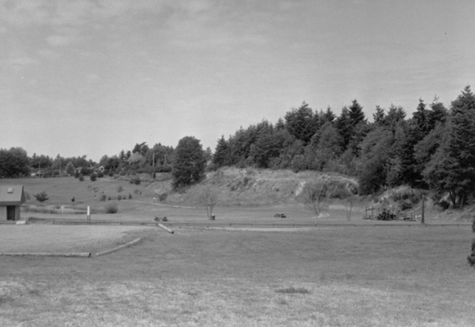 Untitlediefenbaker park, tsawwassen, 1986d-1