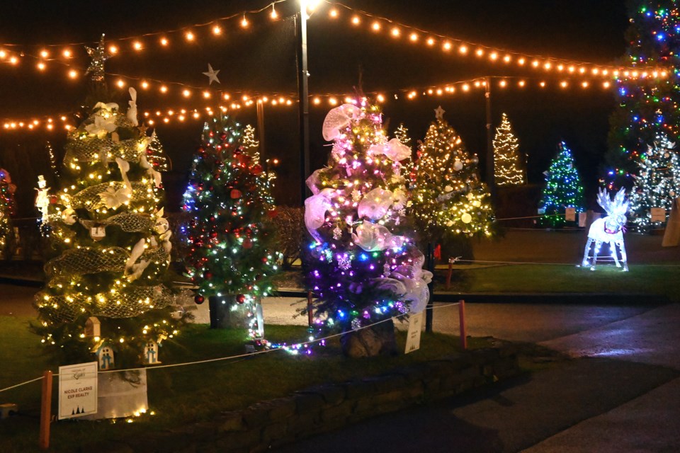 The third annual Tsawwassen Springs Festival of Lights starts Friday and runs until Jan 1. Admission is free. 