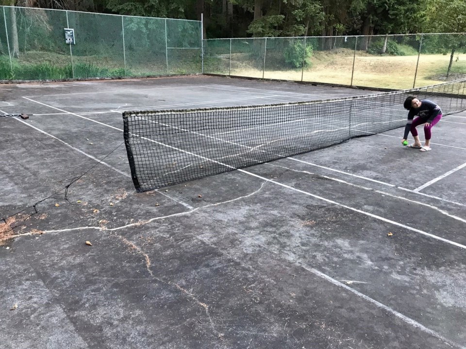 sport courts - endersby park north delta