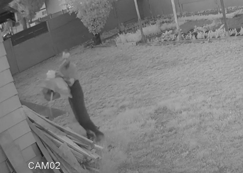 Delta Police have released video footage of an arson suspect from a residential house fire in North Delta back in June. 