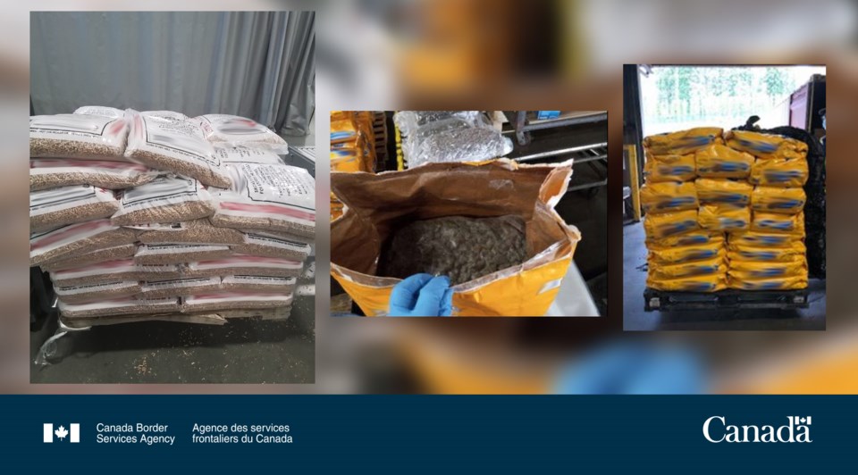 CBSA cannabis seizure in Delta