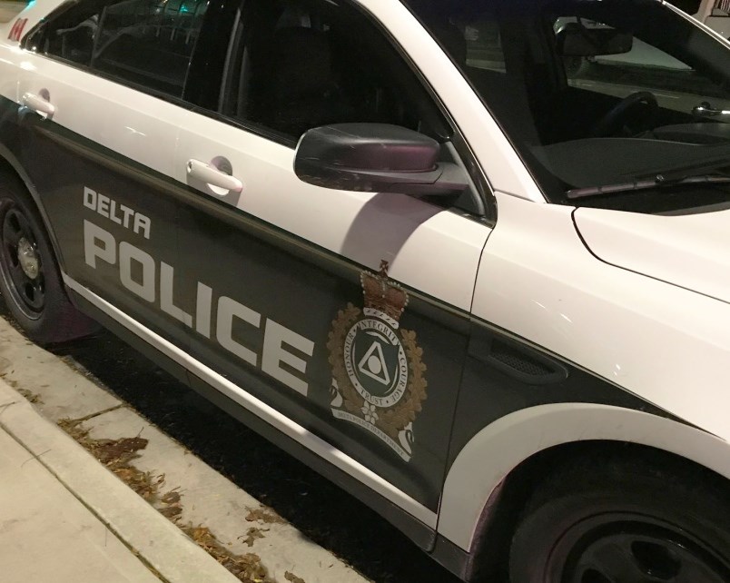 delta police cruiser 1