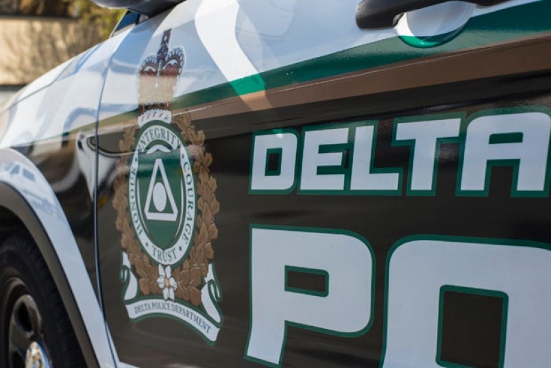 delta police logo on cruiser