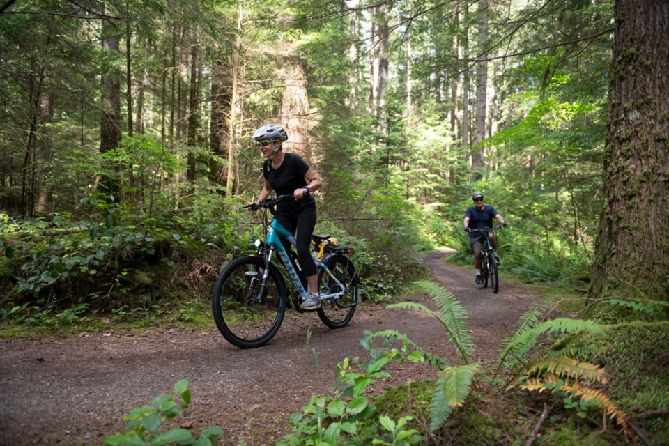 Canadian made sales electric bikes