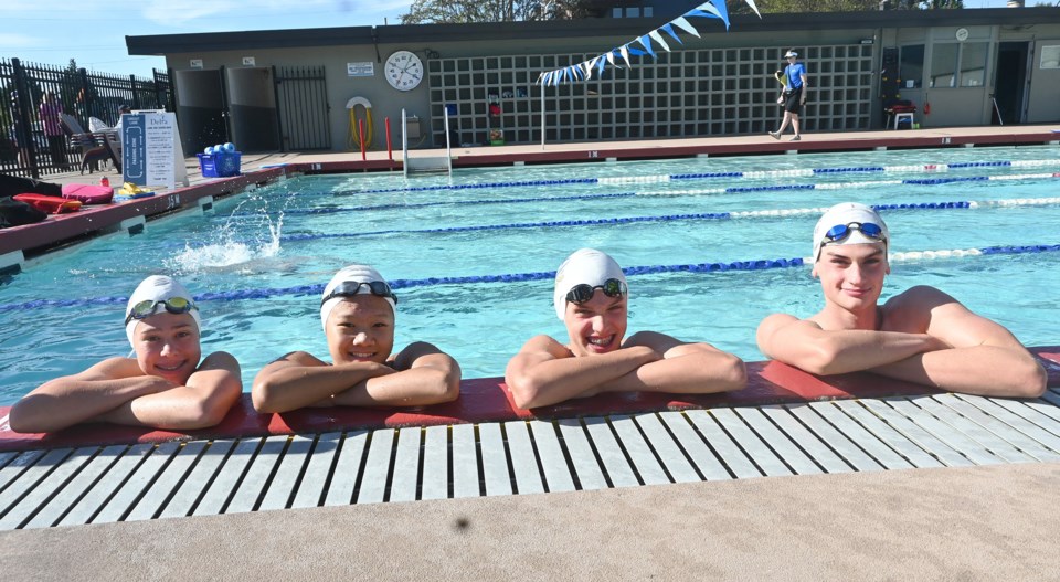 Dolphin swimmers at nationals