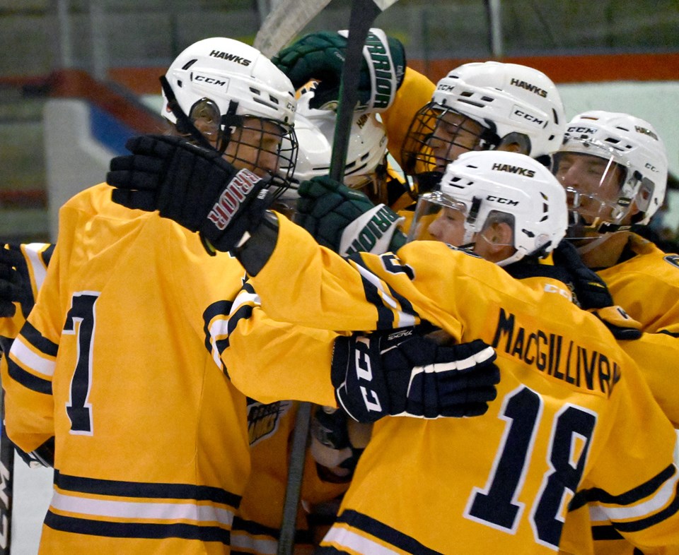 Hawks goal celebration