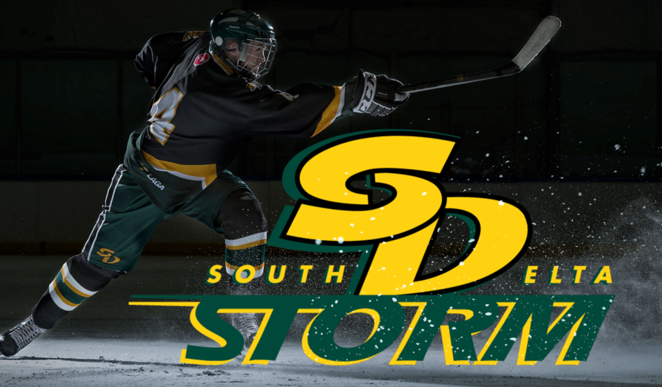 South Delta Storm logo