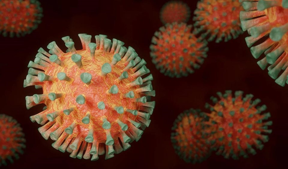 coronavirus in delta, bc - pixabay photo