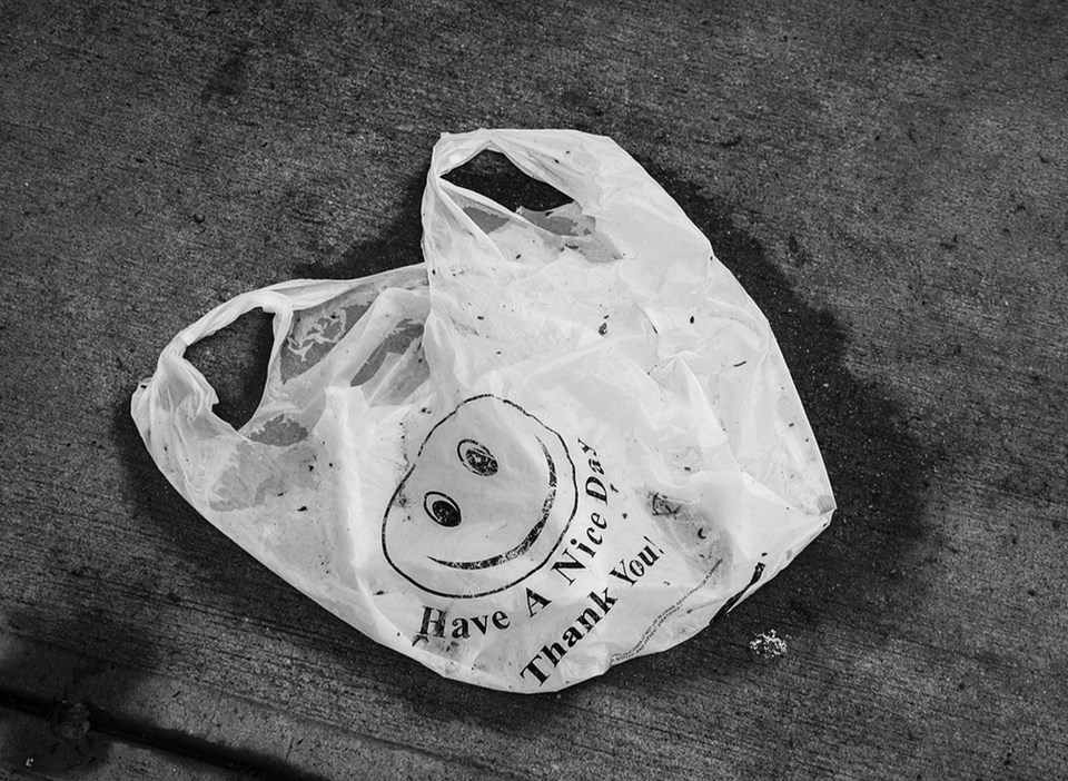 delta plastic bag ban  - pixabay