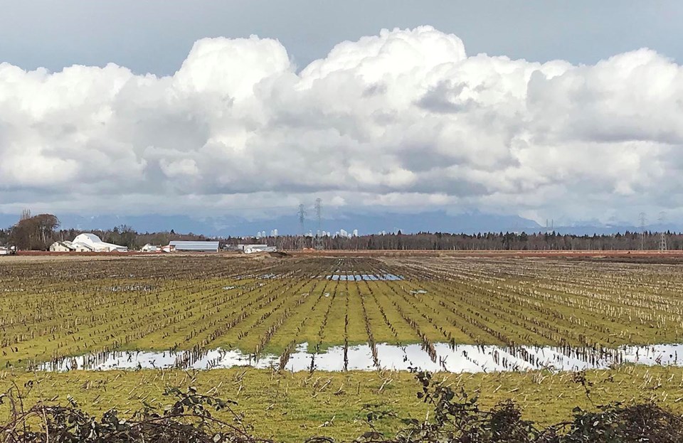 dfwt-funding-delta-farmland-delta-optimist-newspaper-photo