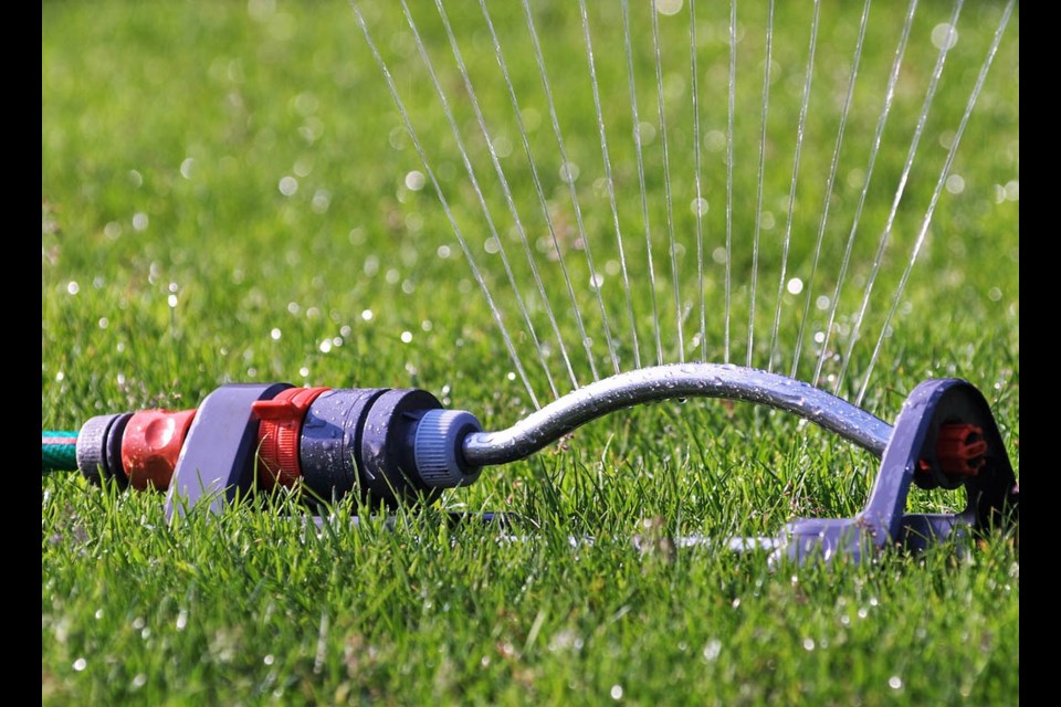 A sprinkler waters a lawn. Metro Vancouver will be on restricted water use until Oct. 31. 
