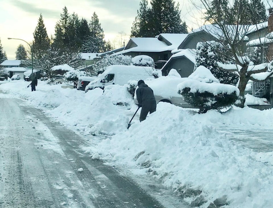 web1_delta-sidewalks-snow-removal