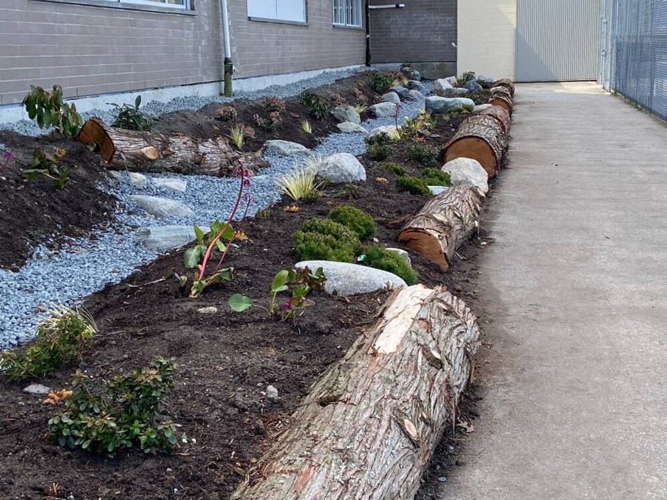 web1_dss-rain-garden-project