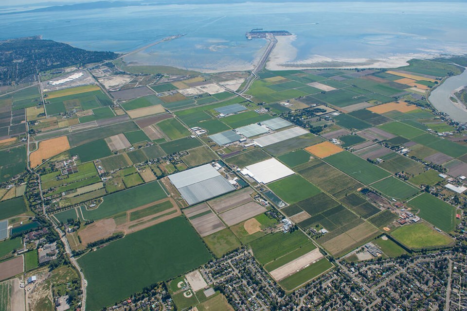 web1_aerial-shot-of-deltaport-container-terminal