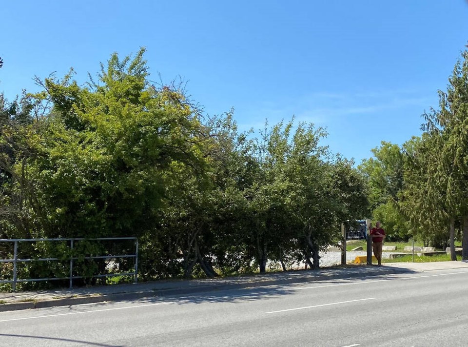 web1_east-ladner-townhouse-proposal-holly-park-pump-track