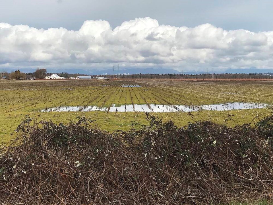 web1_city-of-delta-farmland