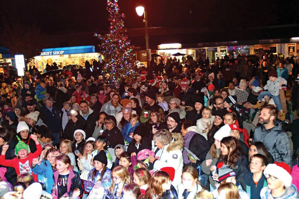 web1_huge-crowd-at-tree-festival