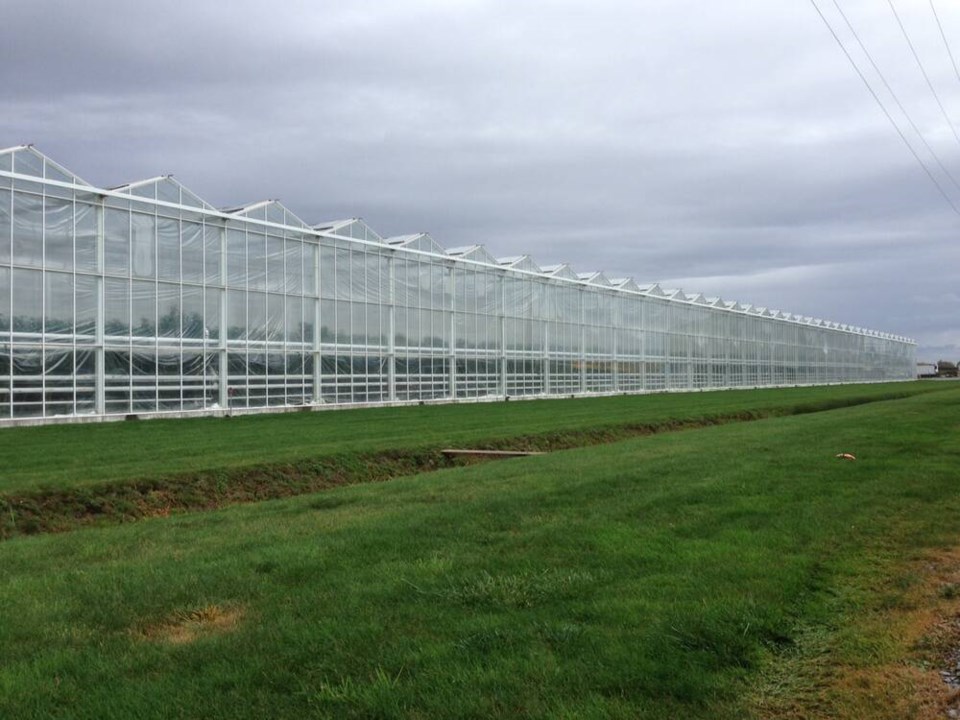 web1_windset-greenhouse