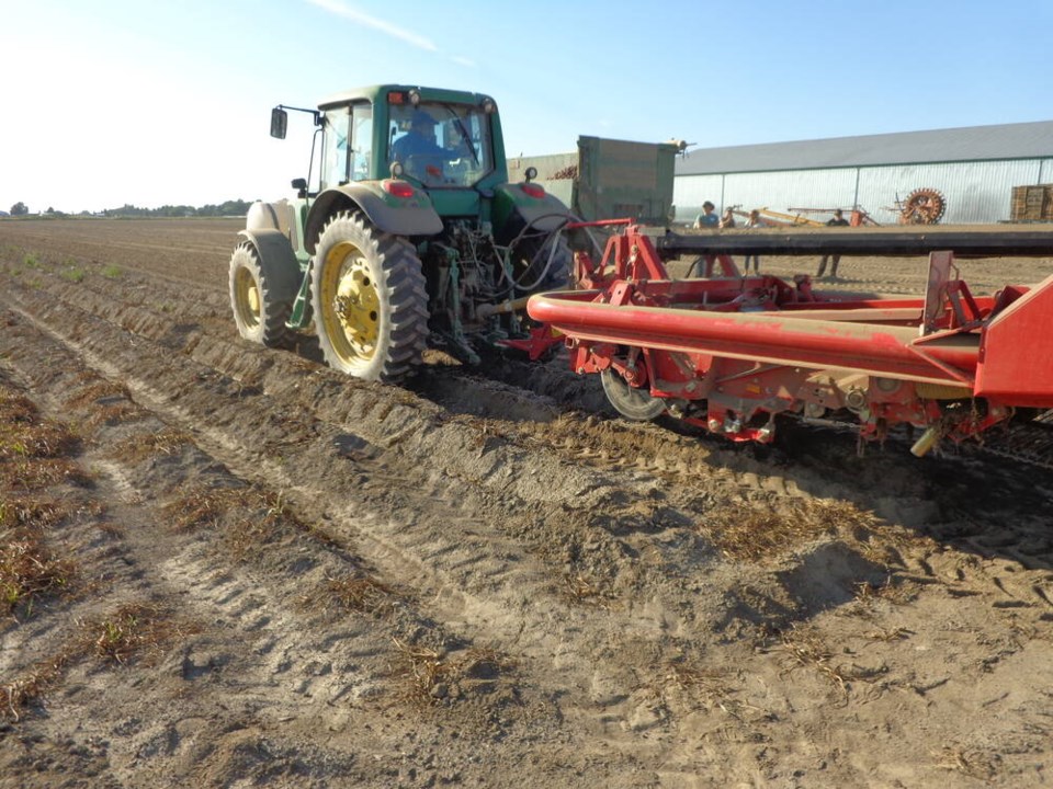 web1_delta-bc-farming-delta-optimist-photo