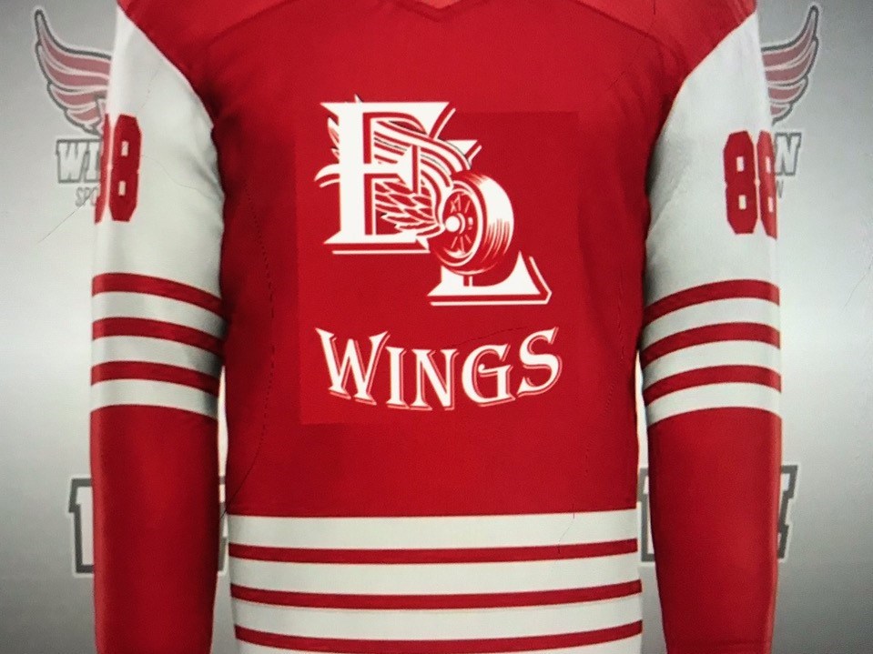Red Wings away team jersey (2)