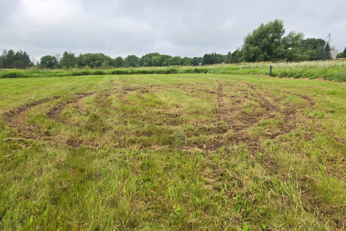 Businesses step up after Mount Forest festival grounds damaged