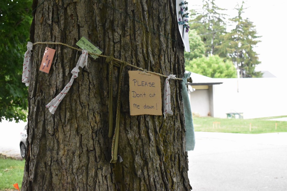 Neighbours have begun decorating the tree with messages of support and with rags as a Scottish pagan tradition.