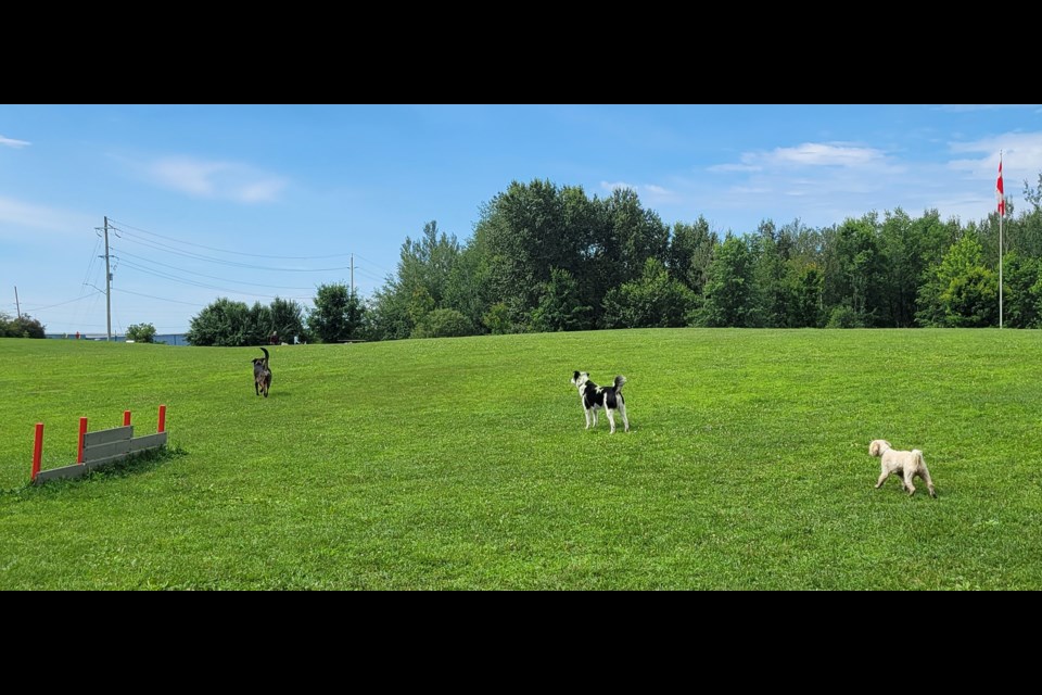 The Fergus dog park has become a popular destination for dog owners locally and from the region.