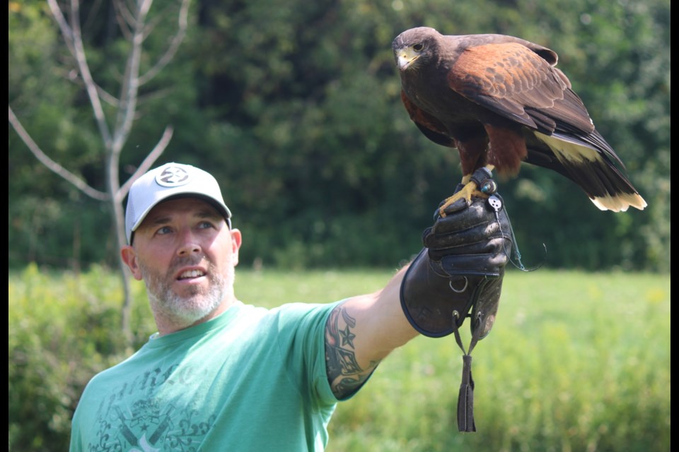 Jeremy Thorpe holding up Hilary, a Harris hawk, as part of the falconry experience.