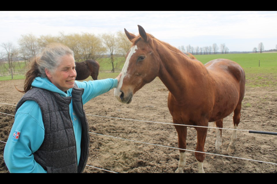 Cindy Johnson pets Irena at Travis Hall Equestrian Centre. Irena was one of her father's horses.