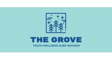 The Grove Youth Wellness Hubs Wellington