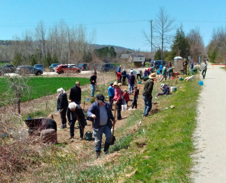 tbm-tree-planting-may-10-2022-003-1