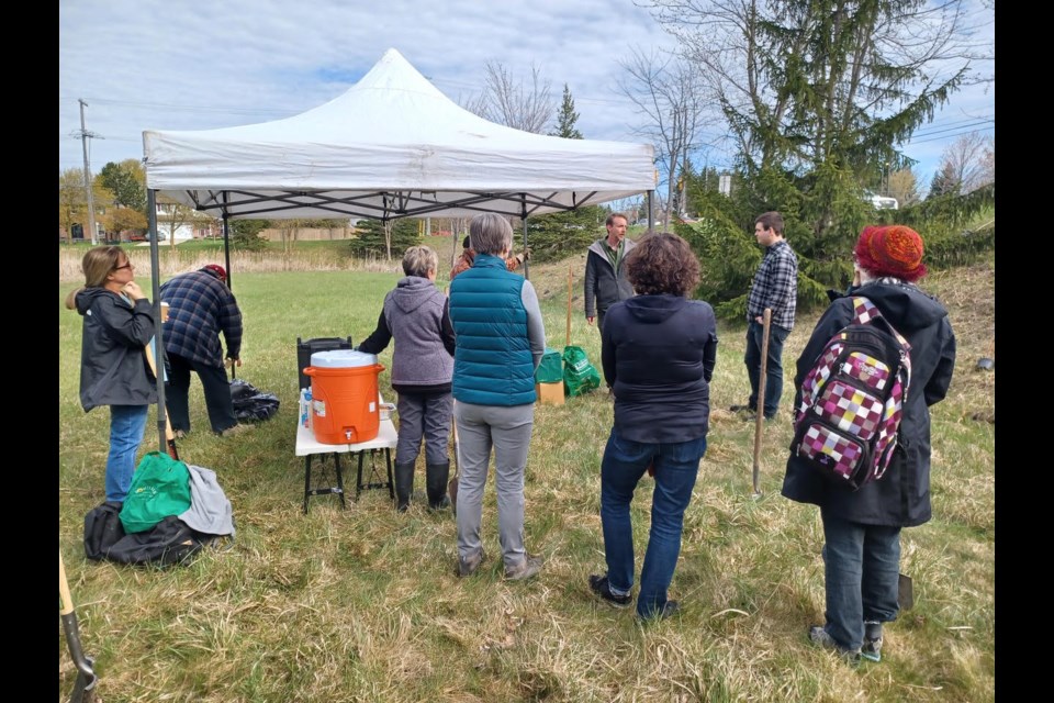 Centre Wellington Landscape Architect and Urban Forestry Project Manager Mathieu Alain with volunteers at Scotland and Belsyde in Fergus on May 6 to plant tree saplings.