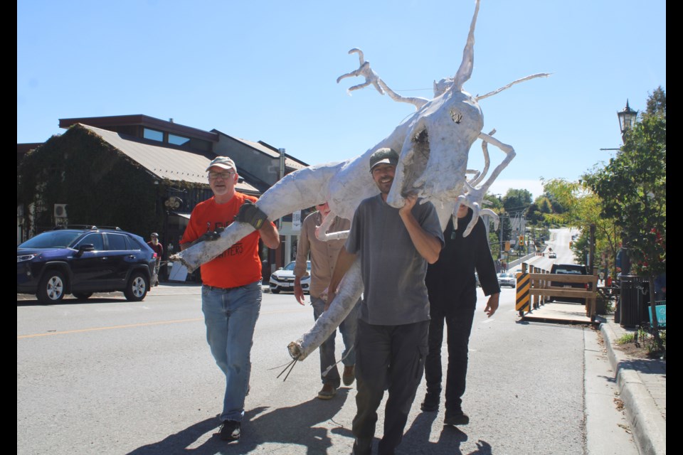 An Elora staple is back for Monster Month as the last of the Twilight Zoo sculptures are installed around downtown. It took a group of four to get this sculpture where it needed to go. 