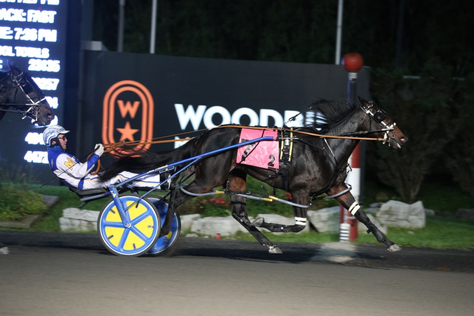 Prohibition Legal, Two-Year-Old Pacing Filly of the Year, owned and bred by Millar Farms, winner of the Armstrong Breeder of the Year Award and the 2021 Keith Waples Driver of the Year winner, James MacDonald. Photo provided by New Image Media.