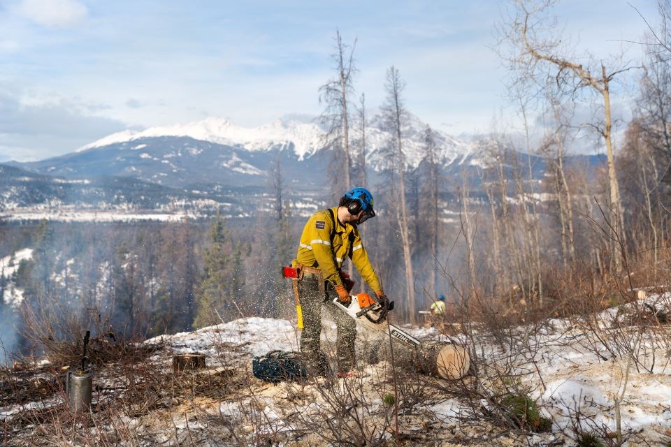 0703-parks-firewood-issue-sh-jaspernp-2023-fire-guard-tree-limbing-signal-mountain-credit-parks-canada-luuk-wijk-img_1720-web-photo