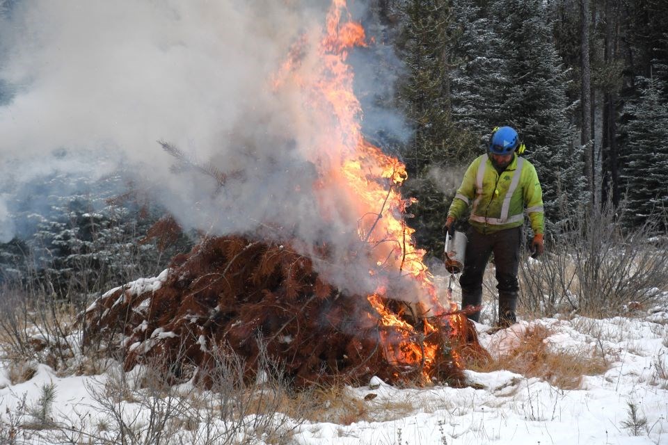 Parks Canada burns dead trees removed last year on Pyramid Bench west of the Jasper townsite on Wednesday, Dec. 18, 2024.