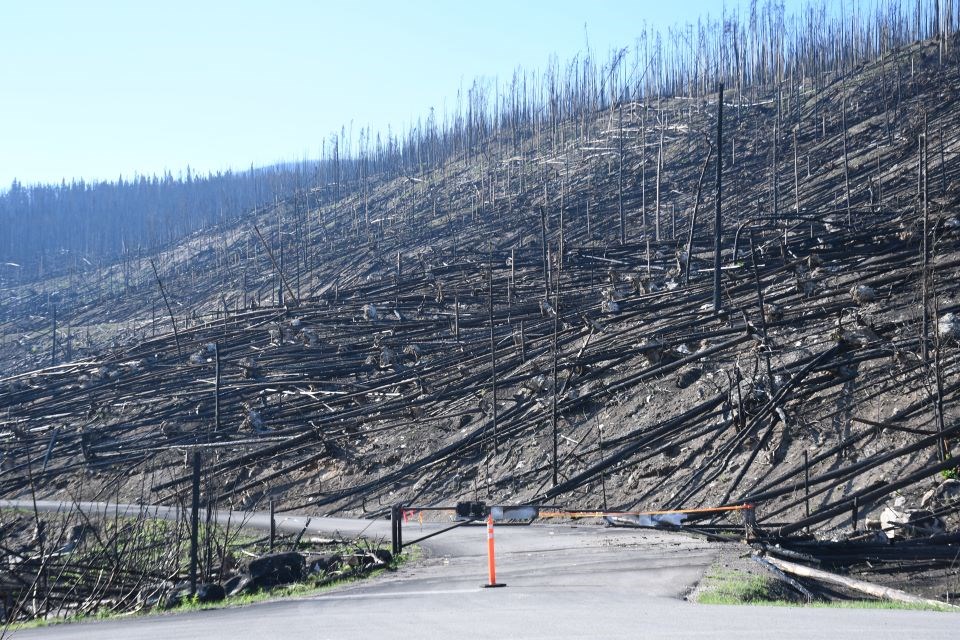 The entrance to Edith Cavell Road along Highway 93A south of Jasper on Saturday, Sept. 7, 2024.
