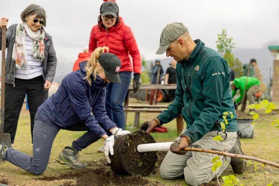 jaspernp-2024-fruit-tree-replacement-program-jasper-elementary-school-credit-parks-canada-mia-fortier-img_0447-web-photo