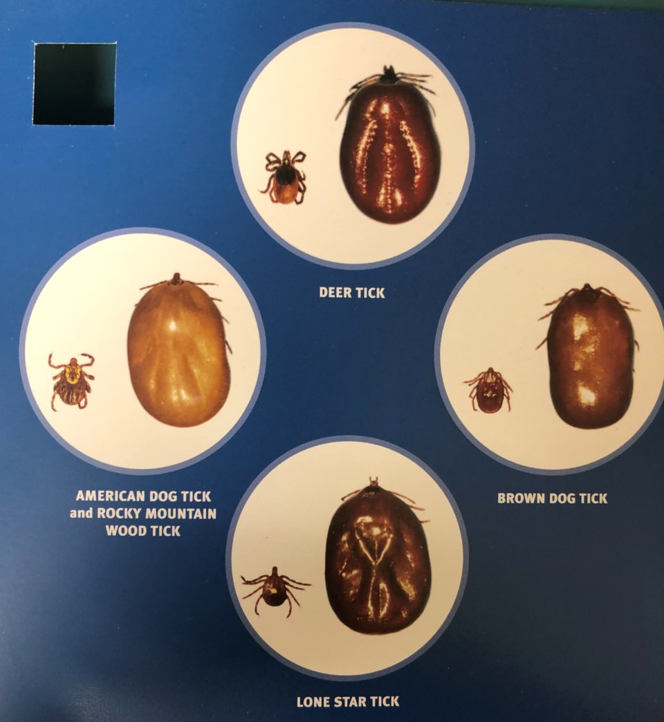 tick-season