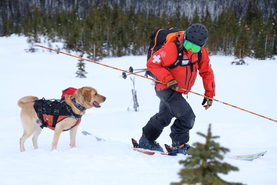 An avalanche search and rescue scenario at Marmot Basin in jasper National Park on Thursday, Jan. 9, 2025.