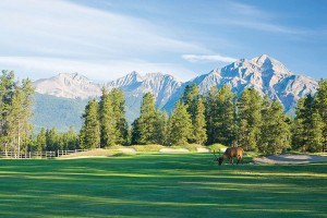 golf_course_2