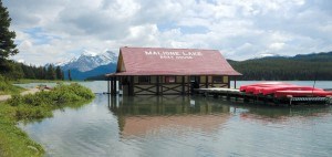 Maligne