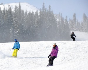 MarmotNov15