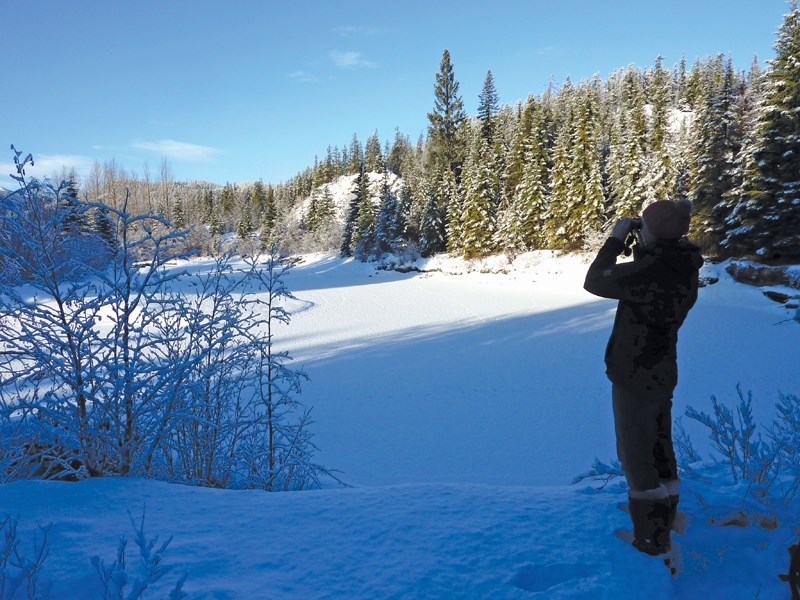 BirdCount_Submitted photo(web)