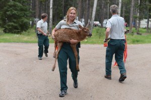NPN Parks Canada photo