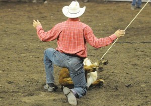 Rodeo7