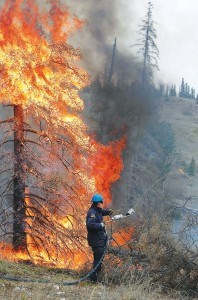 NVeerman photo Fireguard