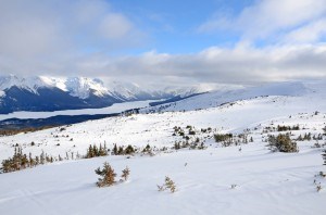 Bald Hills_Maligne_NVeerman